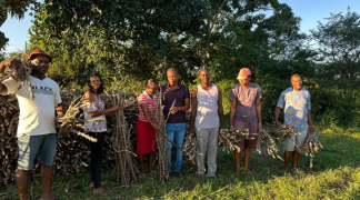 Design sem nome (44).png