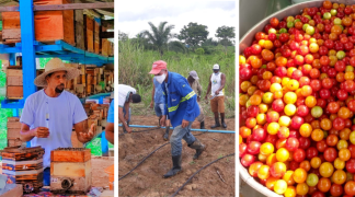 Design sem nome (50).png