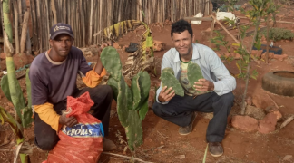 Design sem nome (52).png