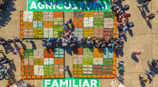 Design sem nome (57).png