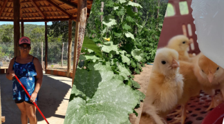 Design sem nome (63).png