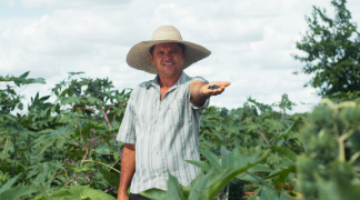 Design sem nome (64).png