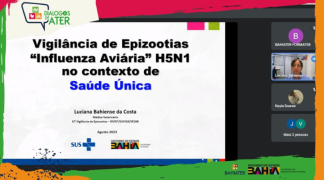 Design sem nome (1).png