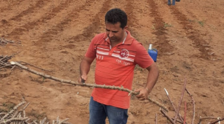 Design sem nome (56).png