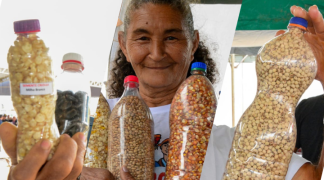 Design sem nome (71).png