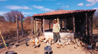 Design sem nome (78).png