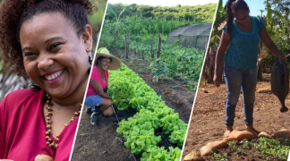 Design sem nome (85).png