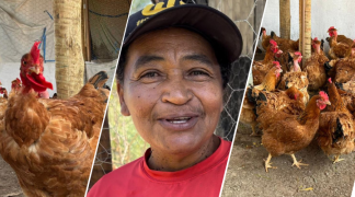 Design sem nome (91).png