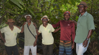 Design sem nome (93).png