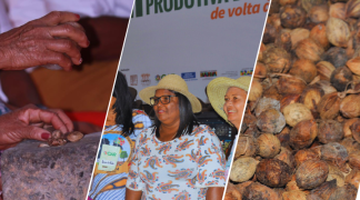 Design sem nome (96).png