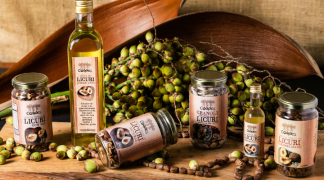 Modelo baiano  (2).png