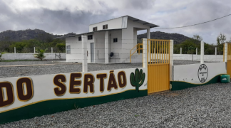 Modelo baiano  (4).png