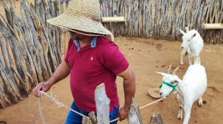 Design sem nome (3).png