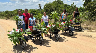 Design sem nome - 2023-10-11T094956.590.png