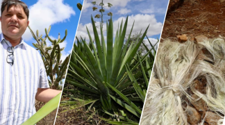 Modelo baiano  (2).png