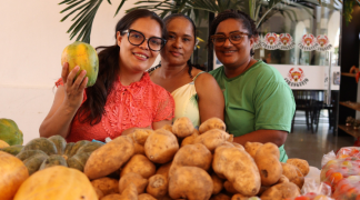 Modelo baiano  (8).png