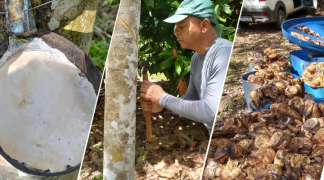 Modelo baiano  (9).png