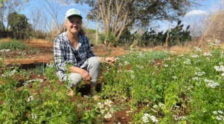 Modelo baiano  (14).png