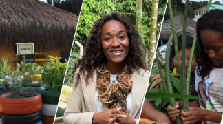 Modelo baiano  (3).png