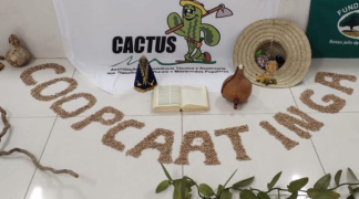 Modelo baiano  (5).png