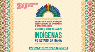 Modelo baiano  (7).png