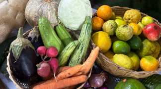 Modelo baiano  (29).png