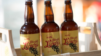 Modelo baiano  (30).png