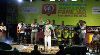 Modelo baiano  (34).png