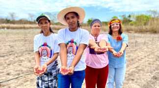 Design sem nome - 2024-01-30T163626.515.png