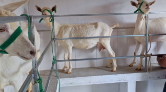 Design sem nome - 2024-02-06T171532.378.png