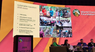 Design sem nome - 2024-02-15T095113.663.png