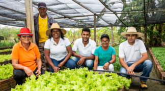 Modelo baiano  (2).png