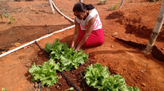 Design sem nome (3).png