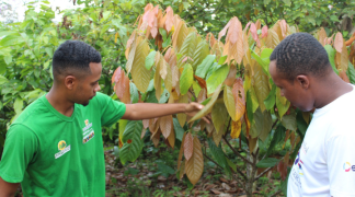 Design sem nome - 2024-03-06T131227.498.png