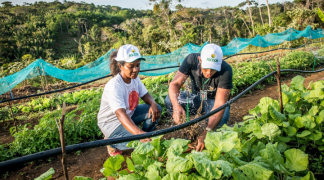 Design sem nome - 2024-03-25T101246.513.png