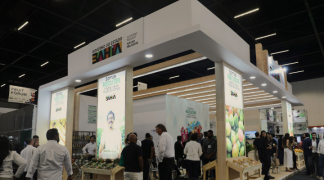 Design sem nome (1).png