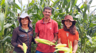 Design sem nome (2).png