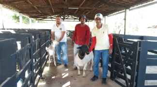 Foto - SITE - SDR.png