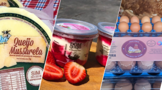 Modelo baiano  (5).png