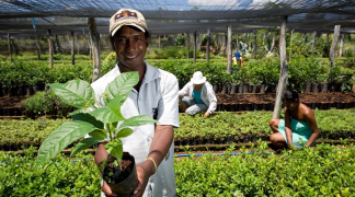 RESULTADO ATER 2.png