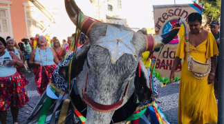 Foto - SITE - SDR (17).png