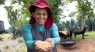 Foto - SITE - SDR (33).png