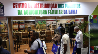 Foto - SITE - SDR (60).png