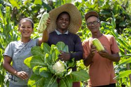 WhatsApp Image 2024-09-27 at 09.52.32.jpeg