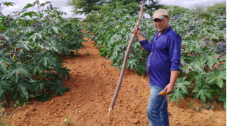 Foto - SITE - SDR (5).png