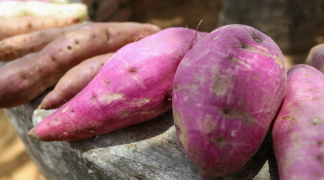 Foto - SITE - SDR (4).png