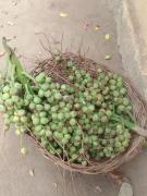 WhatsApp Image 2025-02-17 at 15.48.19.jpeg