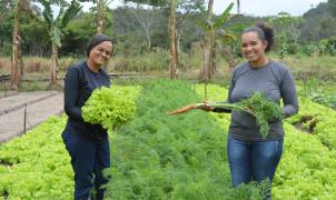 WhatsApp Image 2025-03-28 at 12.25.54.jpeg