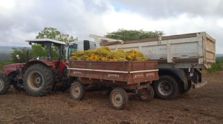 Foto - SITE - SDR (10).png