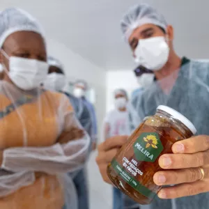 Novos equipamentos garantem renda para apicultores baianos